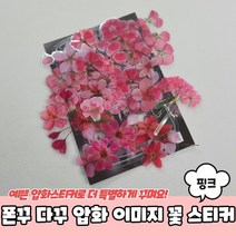 핑크 이미지 압화 스티커 다꾸 꽃 폰꾸, 상세페이지 참조, 상세페이지 참조