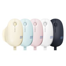엑토 디자인 윙 인체공학 저소음 USB 무선 마우스 AWM-05, 민트