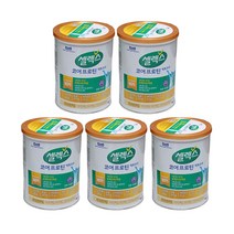 셀렉스 코어 프로틴 락토프리 304g, 5개