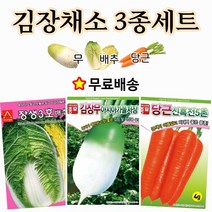 주주씨앗 김장채소씨앗 3종세트 무 배추 당근 씨앗 채소씨앗 여름씨앗 종자 배추씨 당근씨 무우씨