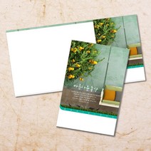 예배 주보 교회 절기 주보용지 3단 6면 안내지 순서지 전도지 기독교용품 교회용품 새교우카드 헌금봉투 부활절 맥추 추수감사 성탄절 송구영신 신년 감사, EW-41