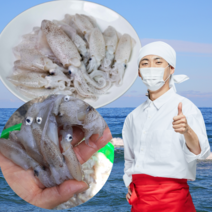 먹사부 태안 꼴뚜기 호래기 냉동 생물 꼴뚜기 회 횟감 자연산 국산, 500g (급냉), 1개