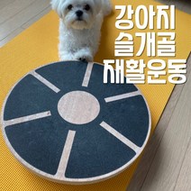 울리강아지구명조끼새콤사과 추천 BEST 인기 TOP 60