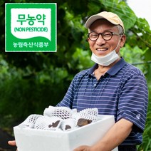 해원농장 무농약 열매마 하늘마 하늘열매마 1키로 5키로 마, 햇열매마, 5kg