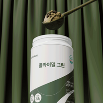 플라이밀 단백질 쉐이크 대용량 630g, 그린(630g/14회분), 5통
