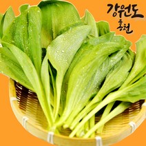 산지직송 강원도 홍천 울릉종 생 명이나물 산마늘 줄기명이 잎명이 생채, 줄기명이나물 1kg, 1개