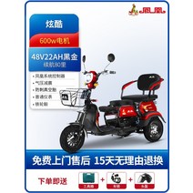 다인승 오토바이 삼륜 전동차 세발 전기 스쿠터 미니 카트 미니 노인 장애인, 600W 모터48V22Ah 블랙 골드 배터리