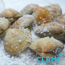 클래미 백생합, 1팩, 1kg