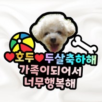 강아지케이크토퍼 고양이케이크토퍼 강아지생일토퍼 사진토퍼 주문제작케이크토퍼, 26~30글자, 중, 사진추가+자석없음