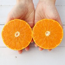 제주 천혜향 4.5kg 8kg 가정용 선물세트, 천혜향 가정용 2.5kg(9-13과)