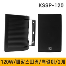 K-SORI MA02A4 헤어샵 미용실스피커 스피커, 선택2:검정스피커