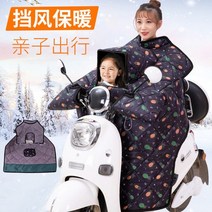 2륜바이크 전기 자전거 노인 전동스쿠터 세발 농업용전동차 부모님 아버지 로얄알로이 2발오토바이, 24V, 부모-자녀 모델