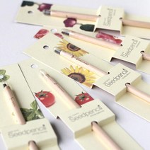 아트박스/꿈쟁이 꿈쟁이 씨앗연필 1p 식물기르기 5종, 바질