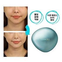 쿠션팩트 승무원쿠션 하루종일 촉촉한 물광쿠션팩트 13g 본품+리필