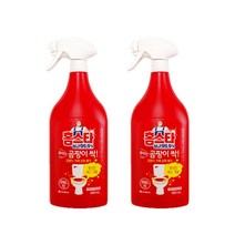 홈스타 뿌리는 곰팡이 싹 세정제 900ml X 2개