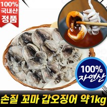 평강수산 국내산 손질 꼬마 갑오징어 선동 자연산 갑 오징어 500g x 2팩 (약1kg내외_약30미 내외) 후기 추천 [로코스나인 홈쇼핑], 손질 갑오징어 500g x 2팩(약1kg내외), 2개