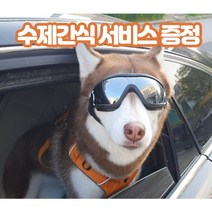 강아지 선글라스 애견 고글 도글라스 멍글라스 개글라스 소형견 중형견 대형견 반려견 UV차단 안경, 소형견용, 노랑