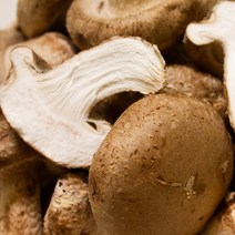 문경 쫄깃쫄깃 송화고버섯 백 송화버섯 500g 1kg 국산 고기맛 생 송고 송화고 산지직송 상품 중품, 유황 백송화버섯 상품 1kg