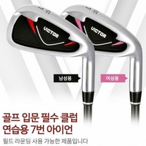 초보 골퍼 연습용 골프클럽 7번 아이언 골프채 필드용품, 여성용(카본)