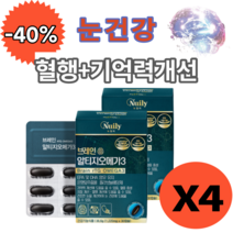뉴일리 징코 알티지오메가3 30캡슐 은행잎추출물 노르웨이산 정제어유 홍삼농축분말 대두레시틴 플라보놀배당체 rTG 오메가3 루테인 혈행 눈 건강 에좋은 영양제, 4개