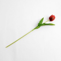 레드 조화꽃 성묘조화 산소꽃 실내조경 튤립 조화-72394EA, wltn406 본상품선택
