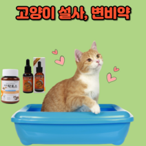 고양이설사약 고양이변비약 고양이 유산균 영양제, 분말형(60g)