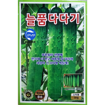 늘품다다기오이씨앗30립 KS종묘 푸른빛이 선명해 한시세 더받고 여름철 잘다리며 과장이 긴 H자형 백침계오이