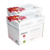 하이브라이트 A4 80g 2BOX 5000매/A4용지/복사지 a4_[230131EA], 본상품선택