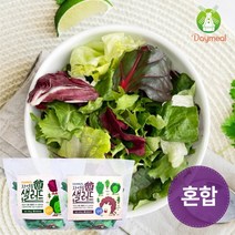 데이밀 자연을담은 샐러드 실속 혼합구성 100g 국내산 야채믹스, 10팩, 드레싱없음