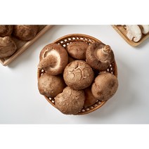 산지직송 무농약 상등품 표고버섯 GAP인증 / 대용량 / 신선포장, 상등품 3kg, 1개
