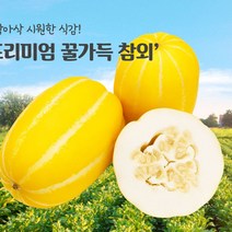 고씨네 프리미엄 참외 참외효능 꿀참외 개구리참외, c룩어라운드 1, c룩어라운드 본상품선택