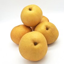왕언니 국산 100% 햇배 신고배, 원황배(가정용) 5kg(10-13과), 1개