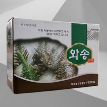 와송 엑기스 와송즙 건강즙 100ml 60포 와송나무 음료 건강음료 선물 와송음료