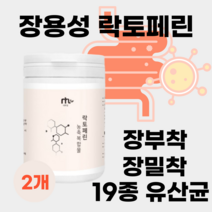 장용성 고함량 프랑스산 초유 락토페린 라토페린 락토페리 장밀착 장부착 19종 복합 멀티 유산균 필수 아미노산 아르기닌 추출 분리유청단백 분말 가루 파우더 여성 남성 다이어트 뱃살, 2통X240g