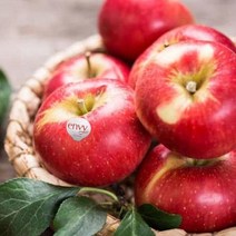 딜픽 충남 예산 엔비사과 8-12과 총2.5kg내외 가정용/펜시, 없음