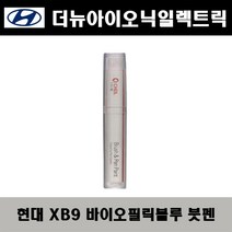 현대 더뉴아이오닉일렉트릭 XB9 바이오필릭블루 주문붓펜 자동차 도색 차량용 카페인트