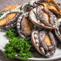 [농부마음] [산지직송] 진도 활전복 특대 1kg 8-9미, 상세 설명 참조, 상세 설명 참조
