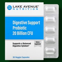 Lake Avenue Nutrition Digestive Support Probiotic Probiotic & Prebiotic Blend 20 Billion CFUs 30 cap, 1EA, 1개