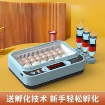 병아리 부화기 닭 알 인큐베이터, 30알(배터리2개)-기본모델
