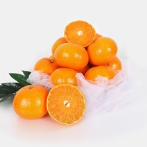 [초록자연] 천혜향 3kg(14-16과) 제주 감귤, 상세 참조