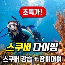 [50%이벤트] (서울) PADI 오픈워터 스쿠버다이빙 1DAY/그룹/퍼스널 트레이닝/코스디렉터 퍼스널 트레이닝 교육 패디 (스쿠버 자격증), 1 Day(오프라인)