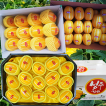 출시 성주참외 3kg 5kg 10kg 프리미엄 정품, 특대과(20~27과), 1개