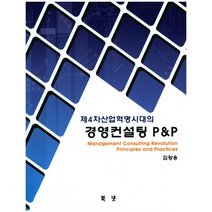 제4차산업혁명시대의 경영컨설팅 P&P, 북넷