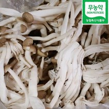 갈색만가닥버섯 2kg 4kg 8kg 당일수확 청도 국내산 친환경 무농약 손질된 백만송이 갈색버섯 갈색 만가닥 버섯 버섯요리 천연조미료 노인영양식 어린이반찬 환자식단 웰빙농산물, 4kg (2kgx2개), 2개