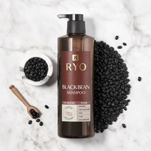 /려 파주 검은콩 샴푸 800ml -, 옵션/파주 검은콩 샴푸 1개