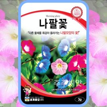 나팔꽃씨앗 나팔꽃종자 3g 예쁜 꽃씨 종자 morning glory flower