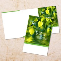 교회 절기 주보 추수감사절 주보용지 3단 6면 주보지 52주 디자인 순서지 안내지 교회용품 기독교용품 주일학교 청년부 전도용품 새교우, EW-26