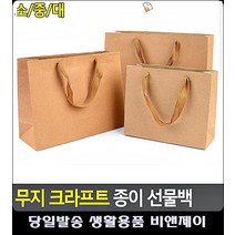 찢어짐 적은 화분선물 손잡이 종이쇼핑백 크라프트지포장 선물쇼핑백 마트봉투 문구사무용품, 소