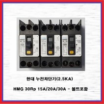 현대 누전차단기 산업용 분전반용 2.5KA HMG30Rp 30A(1EA), 1개
