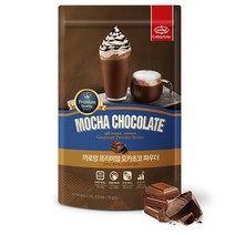 까로망 프리미엄 모카초코 파우더 500g+누보 계량스푼(약 20g) 브라운 13cm 사은품 증정, 20g, 2개